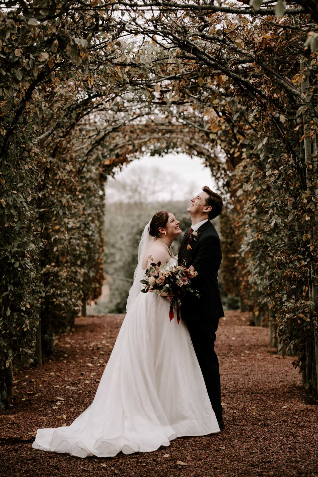 Winter hornbeam arches